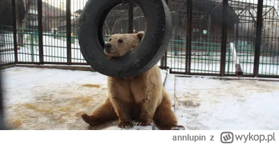 annlupin - chyba trzeba do spania iś dobranoc albo miłego dnia dla was