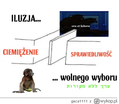 gaca1111 - #konkursnanajbardziejgownianymemznosaczem #sztukadlasprawiedliwych

Quo Va...