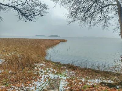 eazy-e - #spierdotrip