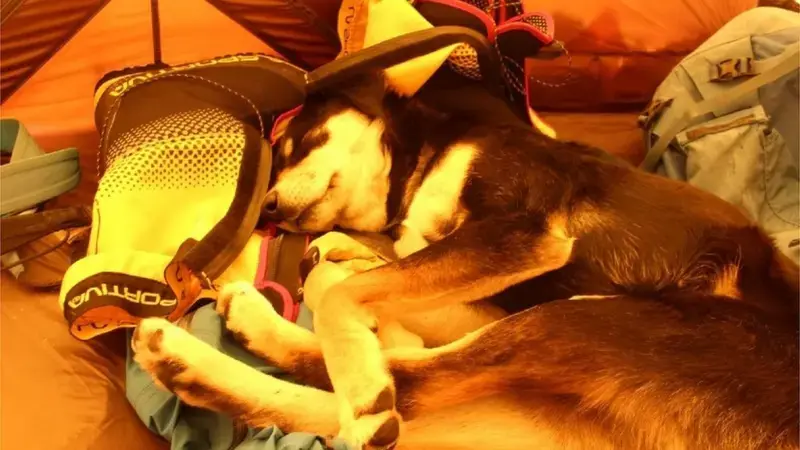 Casuel - Czytajac narzekania psiegrywow, ze "wszędzie się wpier olą z tymi swoimi kun...