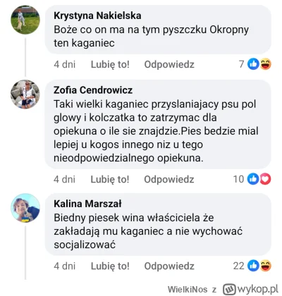WielkiNos - >ja tu bardziej widzę że poszło o kolczatą smycz/łańcuch whatever aniżeli...