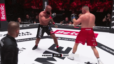 spreparowany - @korona_swirus: PIERDYGO nauczycie się w końcu, pierdas karny dla Cieb...