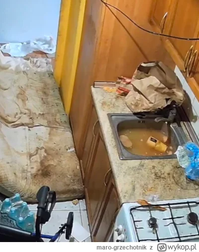 maro-grzechotnik - Schludnie choć nasrane 
#danielmagical