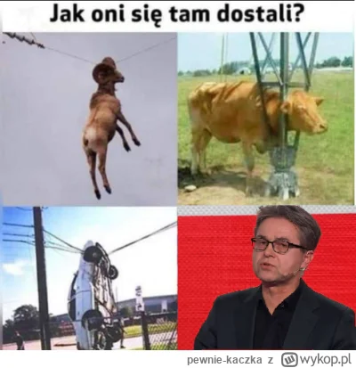 pewnie-kaczka - ( ͡º ͜ʖ͡º)

#debata