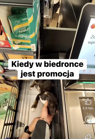 Mexiii - Ludzi już kompletnie p----------o. Wrzuca na wagę brudnego kundla, który łap...