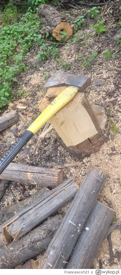 Francesco123 - Przyszla 30stka i taka robota w ogrodzie bardziej relaksuje niz imprez...