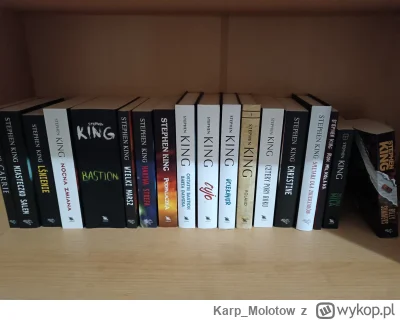 Karp_Molotow - Mam dziwne hobby, nie zrozumiesz #ksiazki #hobby #horror #stephenking