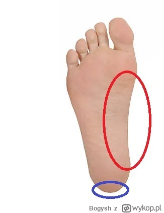 Bogysh - Cześć,
Potrzebuję porady od Was, bo ostatnia wizyta u ortopedy wyglądała jak...