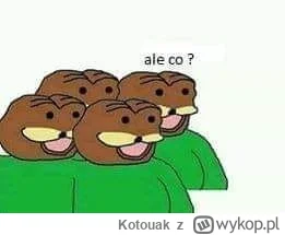 Kotouak - @paczelok: