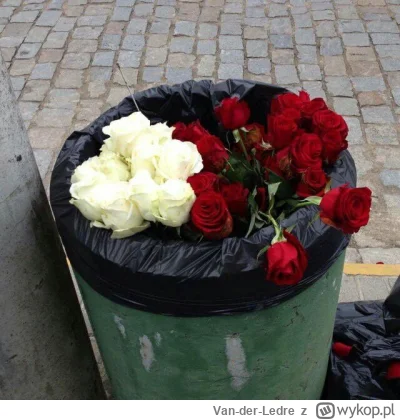 Van-der-Ledre - @DzikiJelonek: ( ͡° ͜ʖ ͡° )つ──☆*:・ﾟ