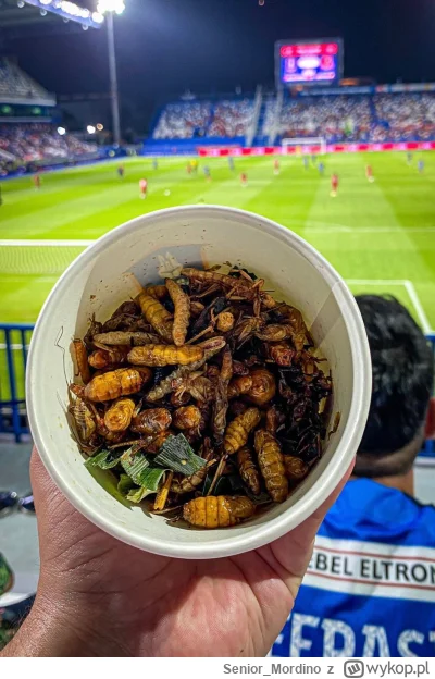 Senior_Mordino - Mieszanka owadów,  Bangkok Glass FC, 100 batów tajskich ~11.80 PLN
#...