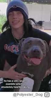 Polyester_Dog - @Tomek3322 nie spodziewałeś się Billie Eilish w tym wątku, prawda? ( ...
