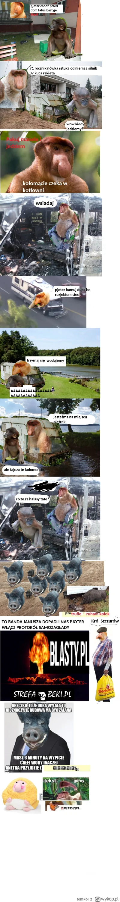 tomkol - #konkursnanajbardziejgownianymemznosaczem