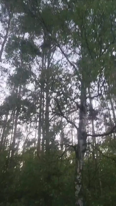 magic_johnson - Ciekawostka z dzisiejszego #spierdotrip do oceny