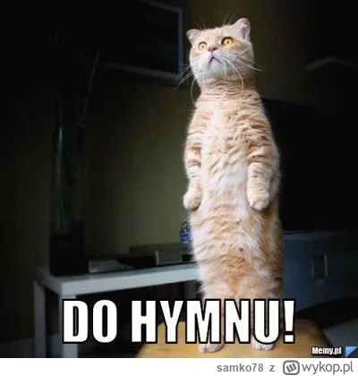 samko78 - #rolnikszukazony