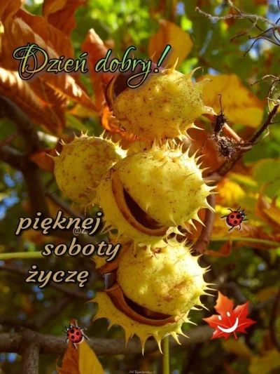 notakjakbytotalnie_ - #kartkanarano