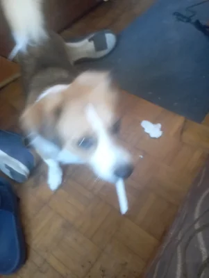 B.....i - @KompromitacjaStulecia: