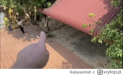 Babyiamfull - #raportzpanstwasrodka dobra Łysy żarty się skończyły. Odpalaj zbiórkę n...