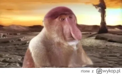 rtone - #konkursnanajbardziejgownianymemznosaczem