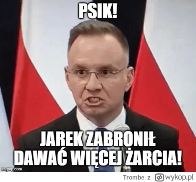 Trombe - Rozsierdzon na koty!

#bekazpisu #humorobrazkowy #duda