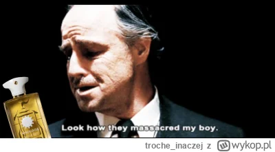 troche_inaczej - Taki obraz mój, gdy widzę jak na tagu szkalują biczhacika bożego. (╯...