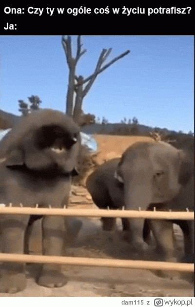 dam115 - Czaruś


#danielmagical #patostreamy