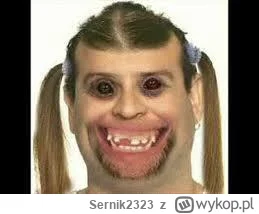 Sernik2323 - @Sernik2323: albo ten: