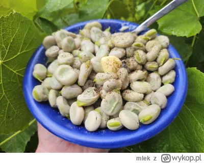 mlek - czasem chłop se musi dogodzić #jedzzwykopem