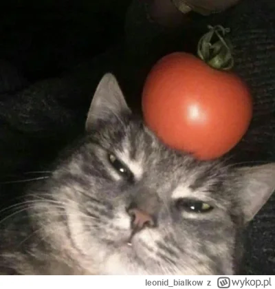 leonid_bialkow - no witam witam akat dzienna