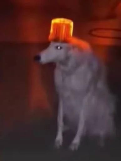 TypowyDaltonista - @o__0 „pies ma być oznakowany” 
Moje pierwsze skojarzenie xD