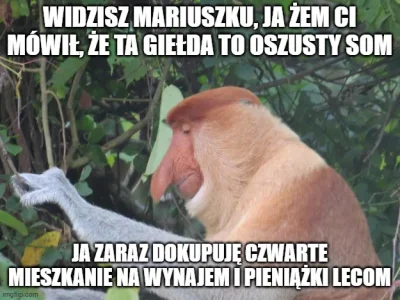 Maurelius - I tak się to już kręci w tym padole nad Wisłą

#gielda #nieruchomosci