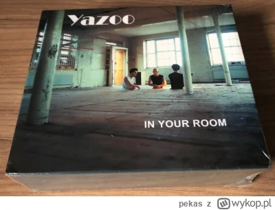 pekas - #kolekcjemuzyczne #yazoo #muzyka #synthpop #muzykaelektroniczna

Zostawię to ...