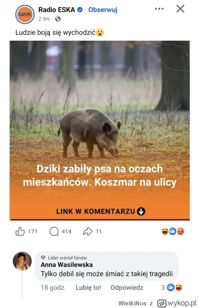 WielkiNos - Pies bez smyczy biegał i pewnie zaczepiał dziki no to te go zagryzły. 

A...