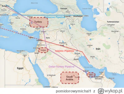 pomidorowymichal1 - @agent-agentury: po lekturze wykopowych ekspertów stwierdzam że w...