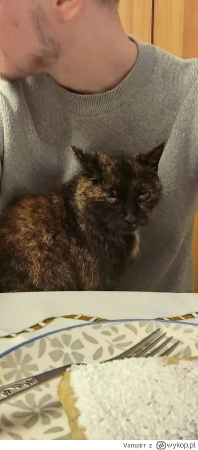 Vampirr - Biedne stare kitku mojej różowej