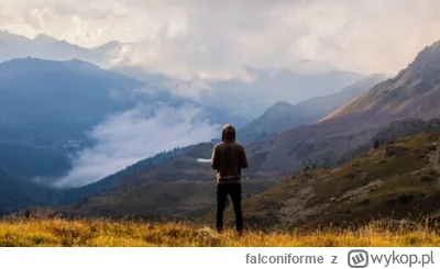 falconiforme - Zaprogramowani mężczyźni próbują spełnić oczekiwania innych zaprogramo...