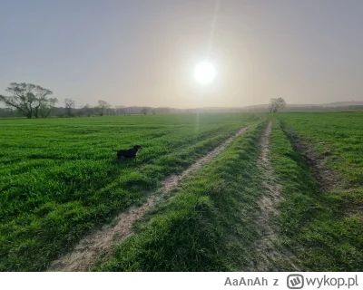 AaAnAh - Smacznej niedzieli i miłej kawusi wszystkim (｡◕‿‿◕｡)