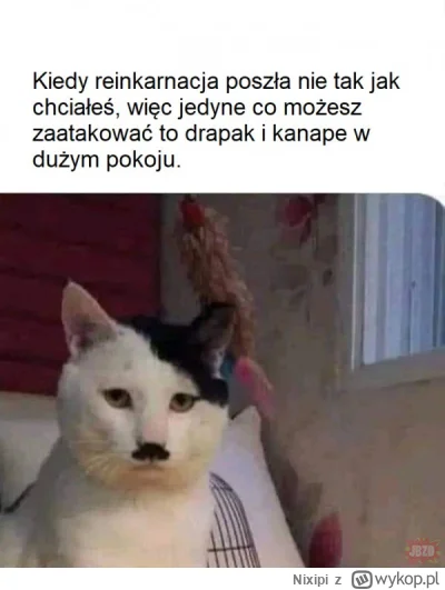 Nixipi - #ocieplaniewizerunkuadolfahitlera