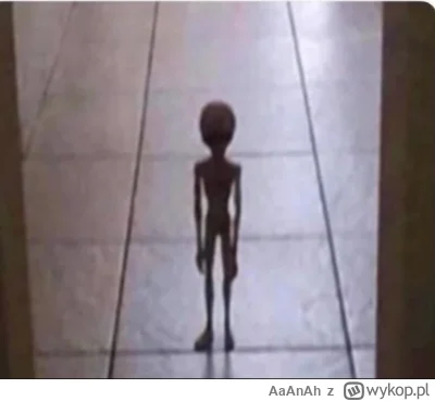 AaAnAh - Właśnie przyszedł za mną sym, z informacją, że na jutro potrzebuje białą kos...