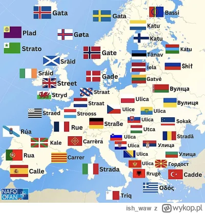 ish_waw - Słowo “ulica” w różnych językach europejskich.

#ciekawostki #jezykiobce