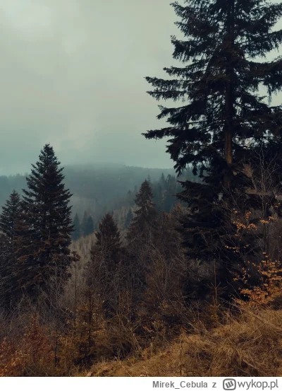 Mirek_Cebula - krótki spacer w okolicy :) Pozdrowionka 
#gory #las #earthporn #mojezd...