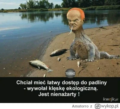 Amatorro - @Jankowalski715: Tymczasem memy tych, którzy chcą nimi zmieniać rzeczywist...