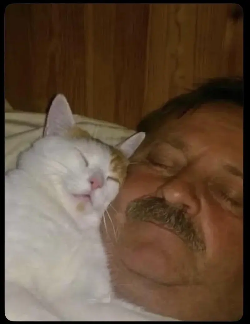 RitmoXL - ( ͡°( ͡° ͜ʖ( ͡° ͜ʖ ͡°)ʖ ͡°) ͡°)