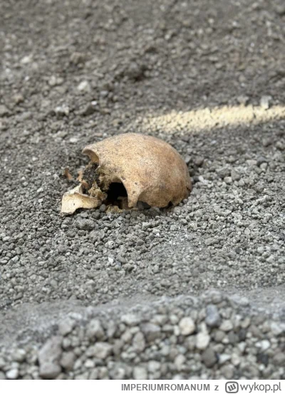 IMPERIUMROMANUM - W Pompejach odkryto pozostałości kolejnej ofiary wybuchu Wezuwiusza...