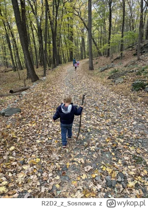 R2D2zSosnowca - Tutaj był długi weekend a więc okazja do zrobienia kilku kroków więce...