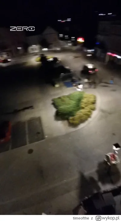 timeofthe - Mnie to zastanawia jak to możliwe że ludzie nie mają w ogóle instynktu sa...