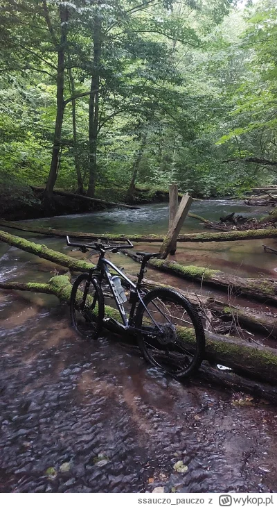 ssauczo_pauczo - @Aquoss: pozdro. 
Do MTB trzeba mieć gdzie jeździć, zwykle gravel bę...