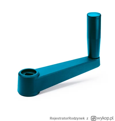 RejestratorRodzynek - uszaty myślał, że ma nowy telewizor, a to jest po prostu niebie...