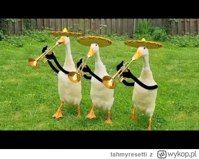 tahmyresetti - bawi za każdym razem xD

#gifyzdorysowanymibuzkamiiraczkami