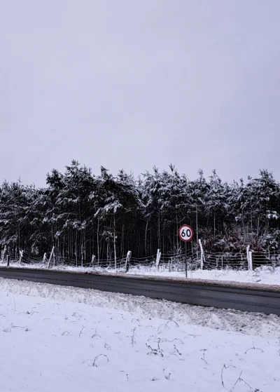 Arvin - zaginione zdjęcie ze #spierdotrip jak jeszcze śnieg padał
#przegryw